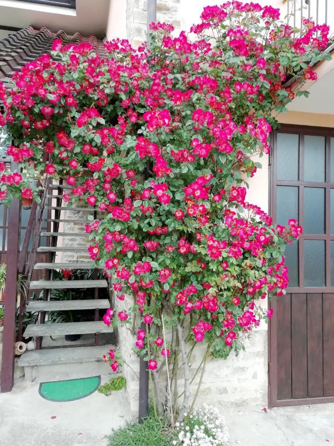 Cit Ni Bed & Breakfast Bosia Bagian luar foto