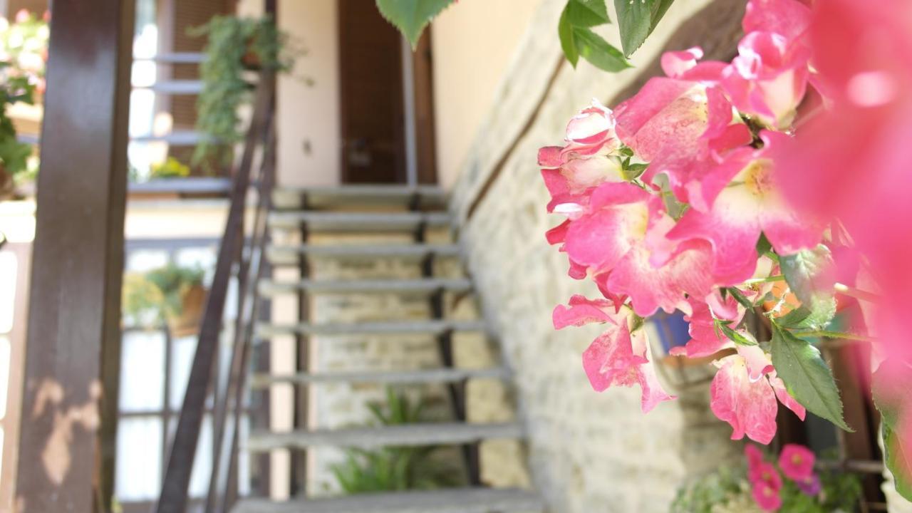Cit Ni Bed & Breakfast Bosia Bagian luar foto